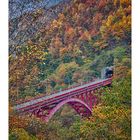 Bridge over the mountains 1