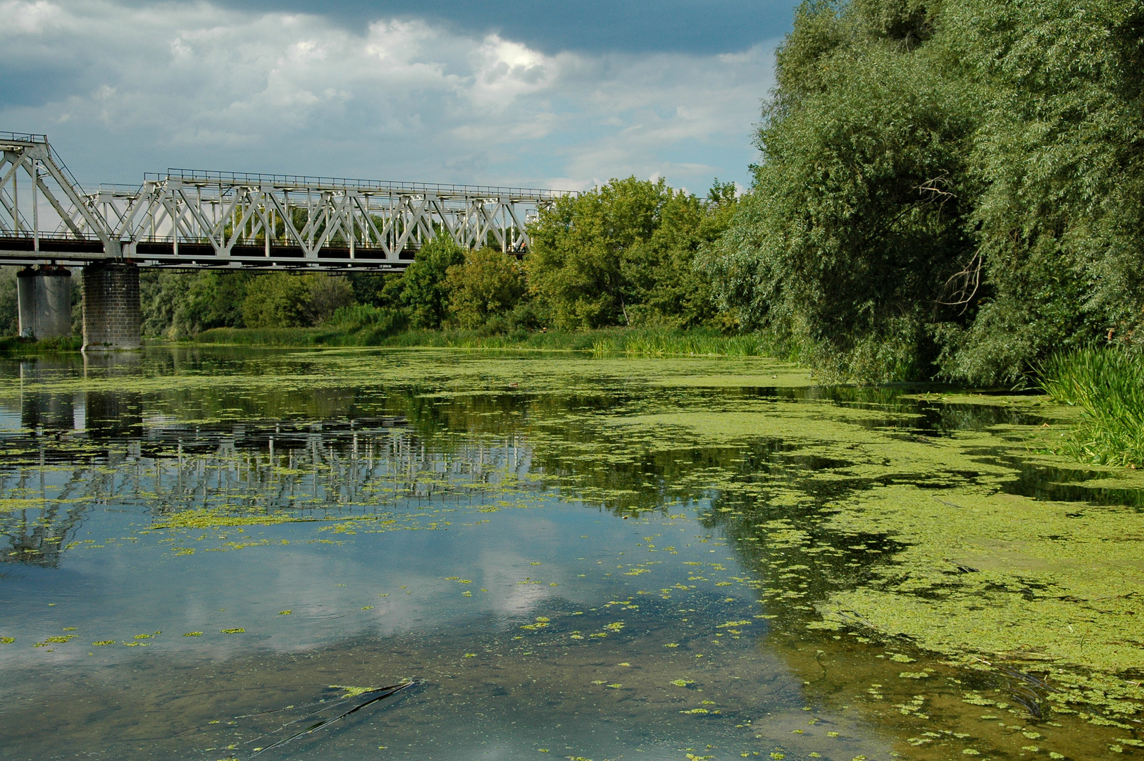 bridge over the river