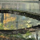 Bridge over trouble water