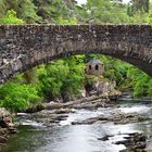 Bridge over troubled water