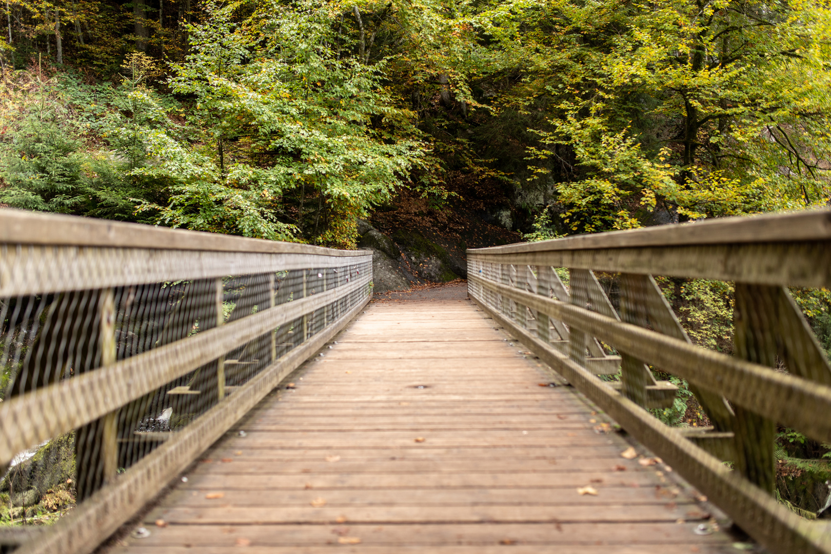 Bridge over troubled water