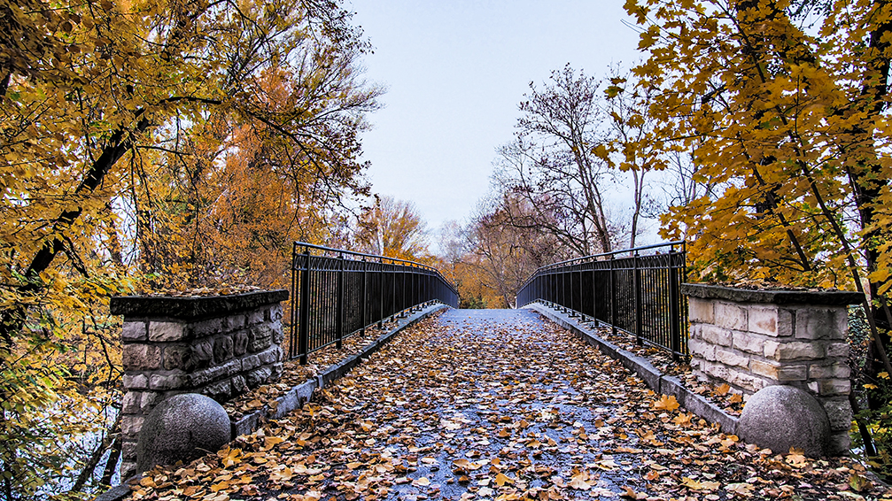 "Bridge over troubled water"