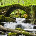 Bridge over troubled water