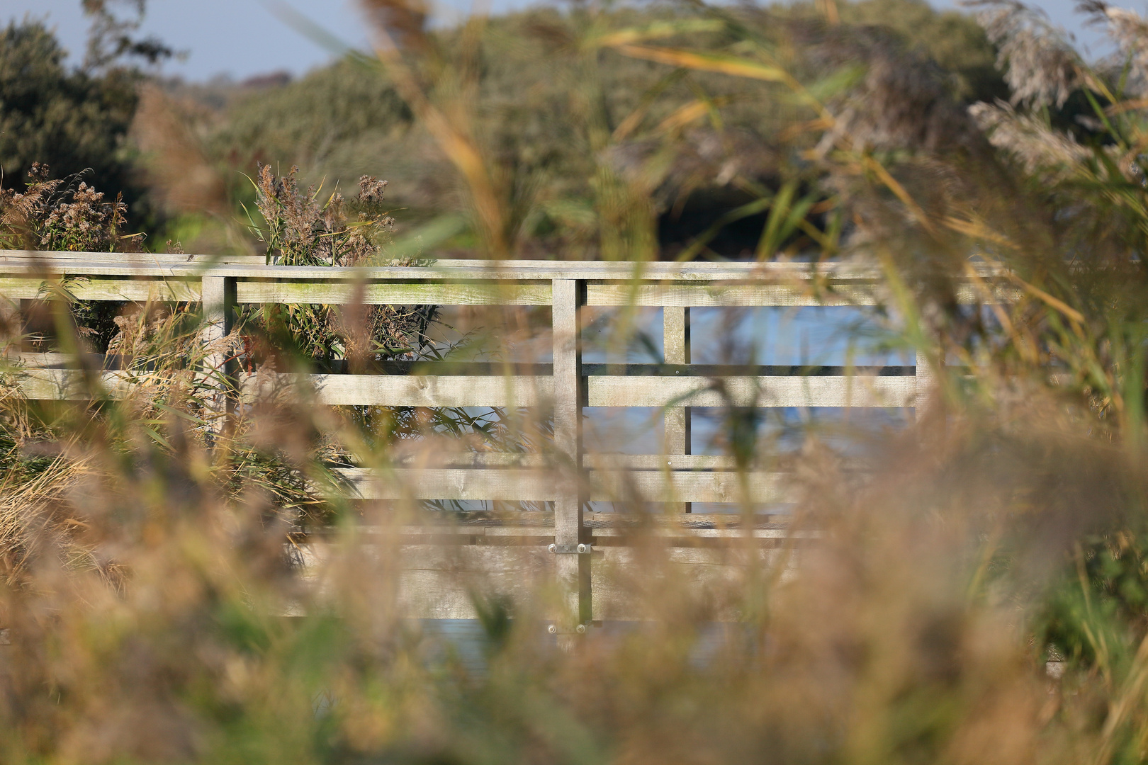 *** Bridge over troubled water ***