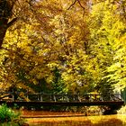 Bridge over troubled water