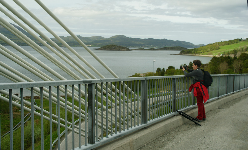 Bridge-photographer