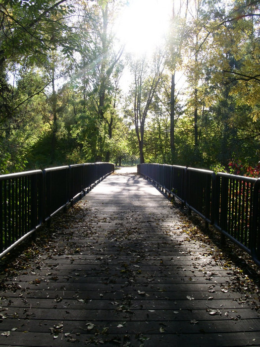 Bridge to nowhere ...