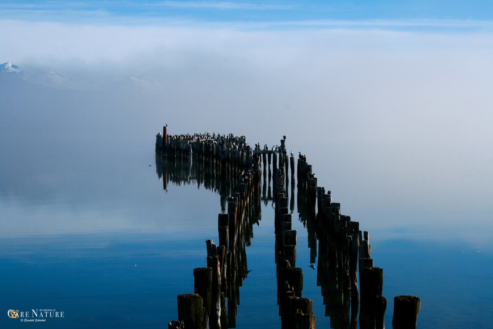 bridge to nowhere