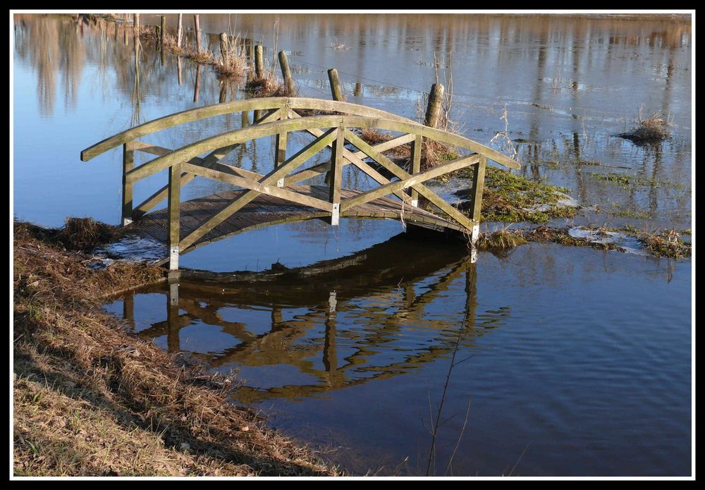 bridge to nowhere