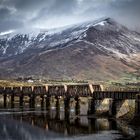 bridge to nowhere