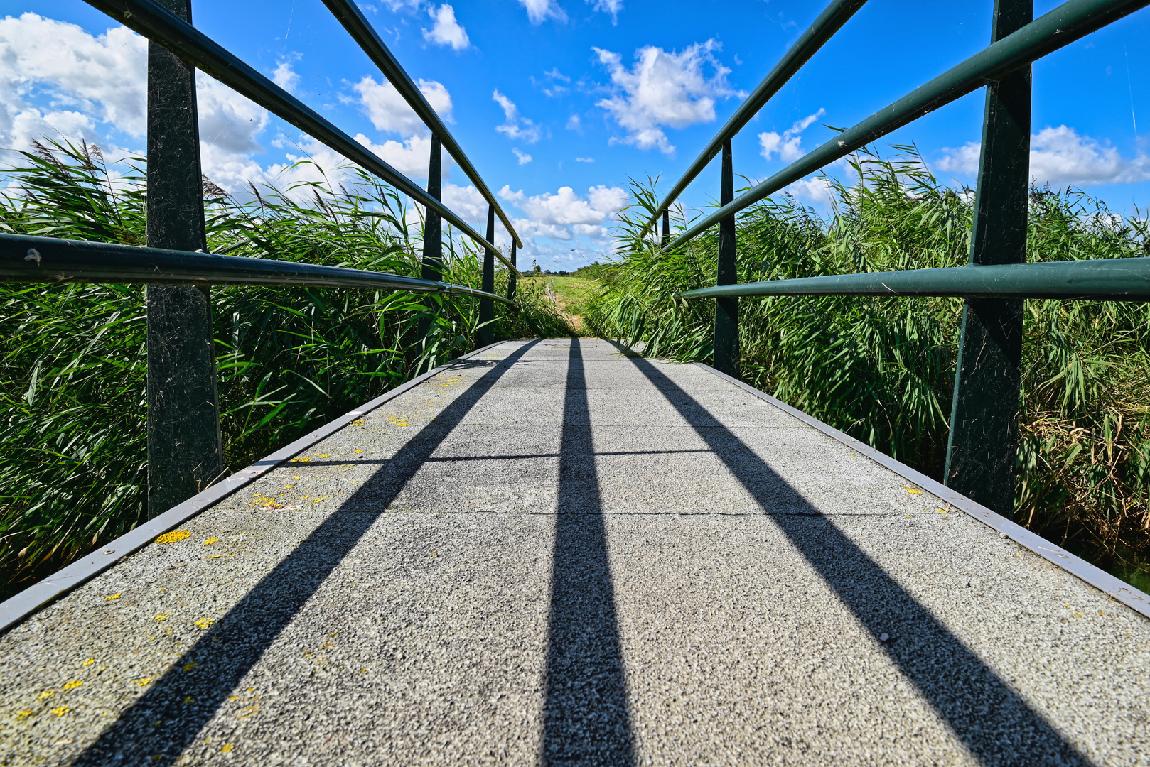 Bridge to the sky