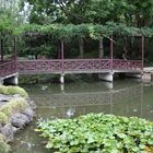 Bridge under Water