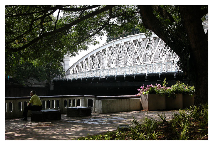 Bridges of Singapore-1