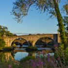 Bridges of Stirling