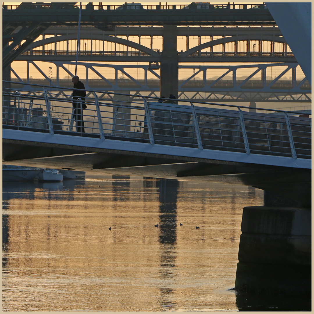 bridges over the tyne in winter 7