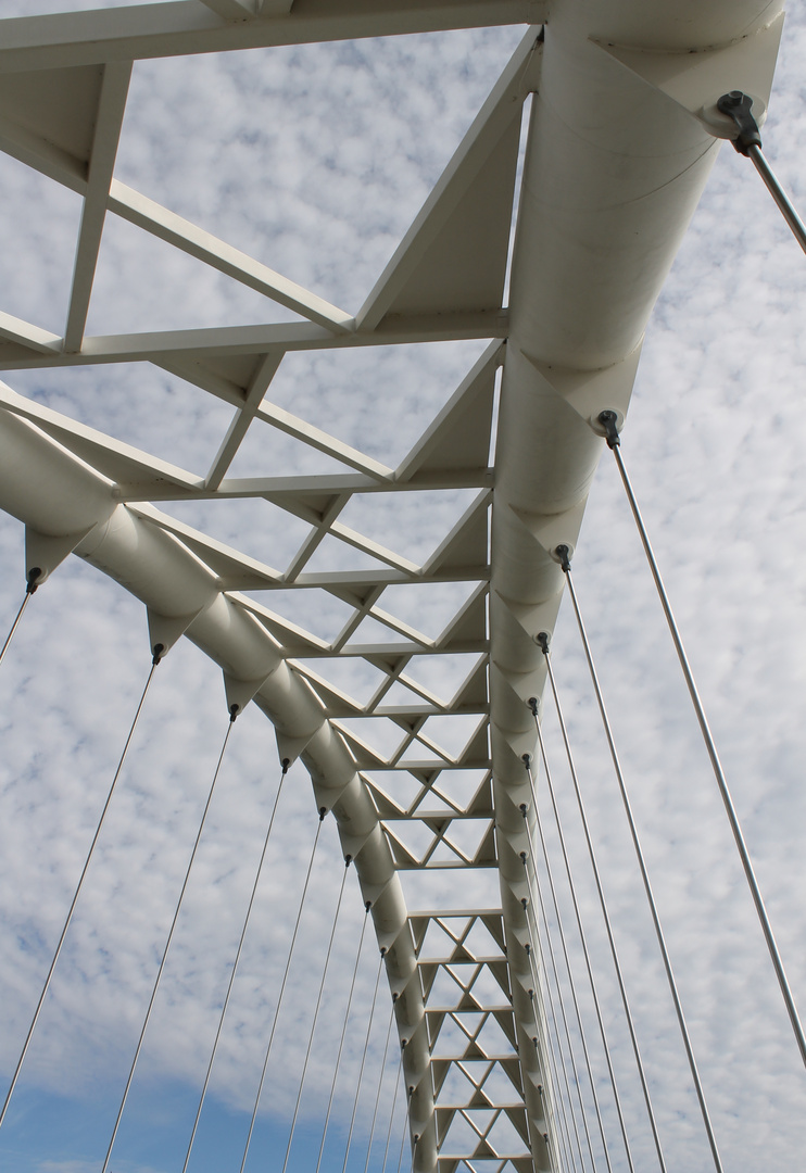 Bridge_Santiago Calatrava