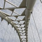 Bridge_Santiago Calatrava
