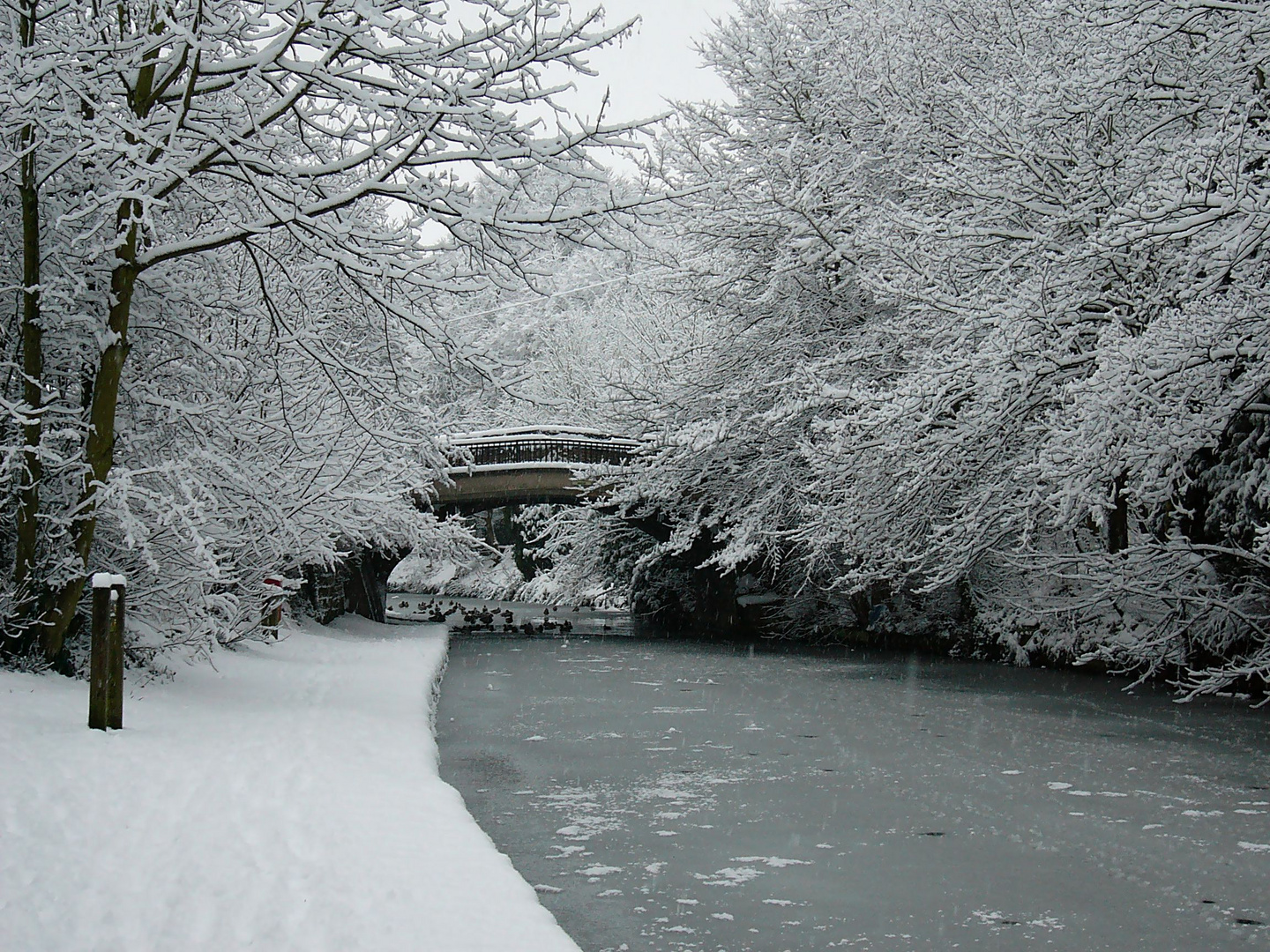 Bridgewater Canal Jan 2010