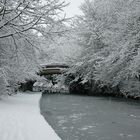 Bridgewater Canal Jan 2010