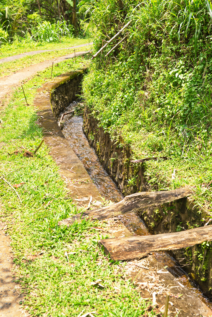 Bridge_wima1947