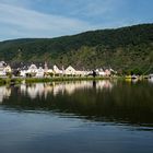 Briedern an der Mosel 002 