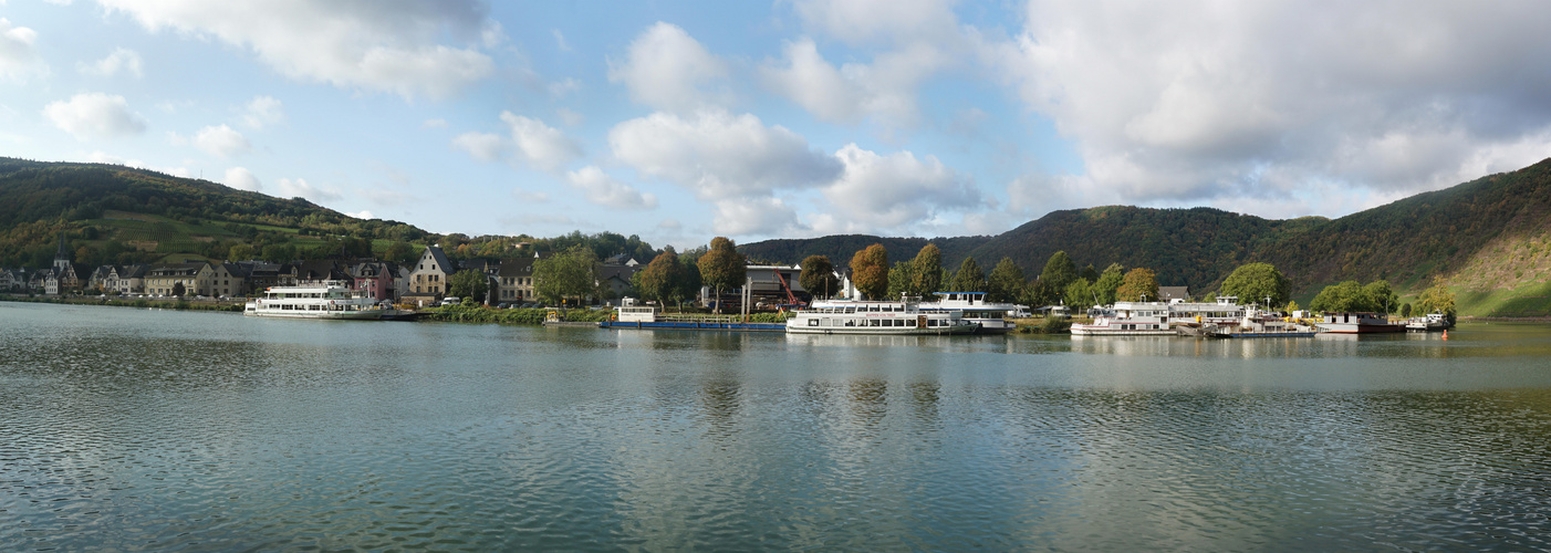 Briedern an der Mosel