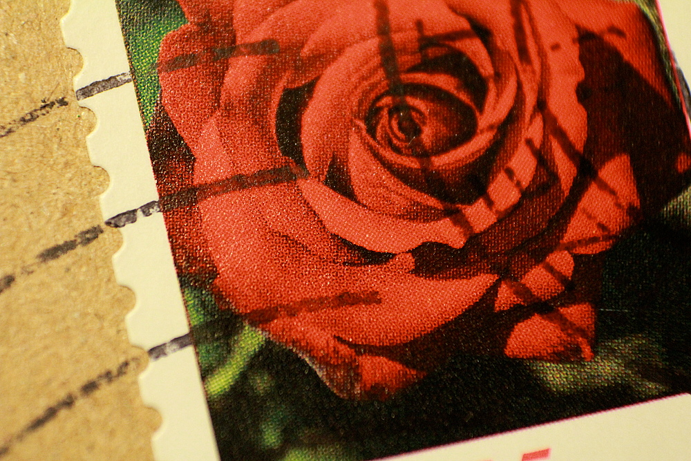 Briefmarke Rose