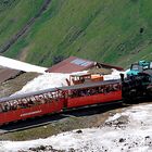 Brienzer Rothorn - Dampfbahn unterwegs