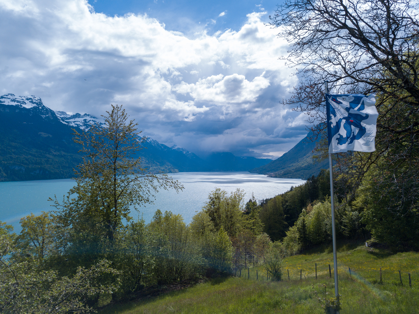 Brienzersee