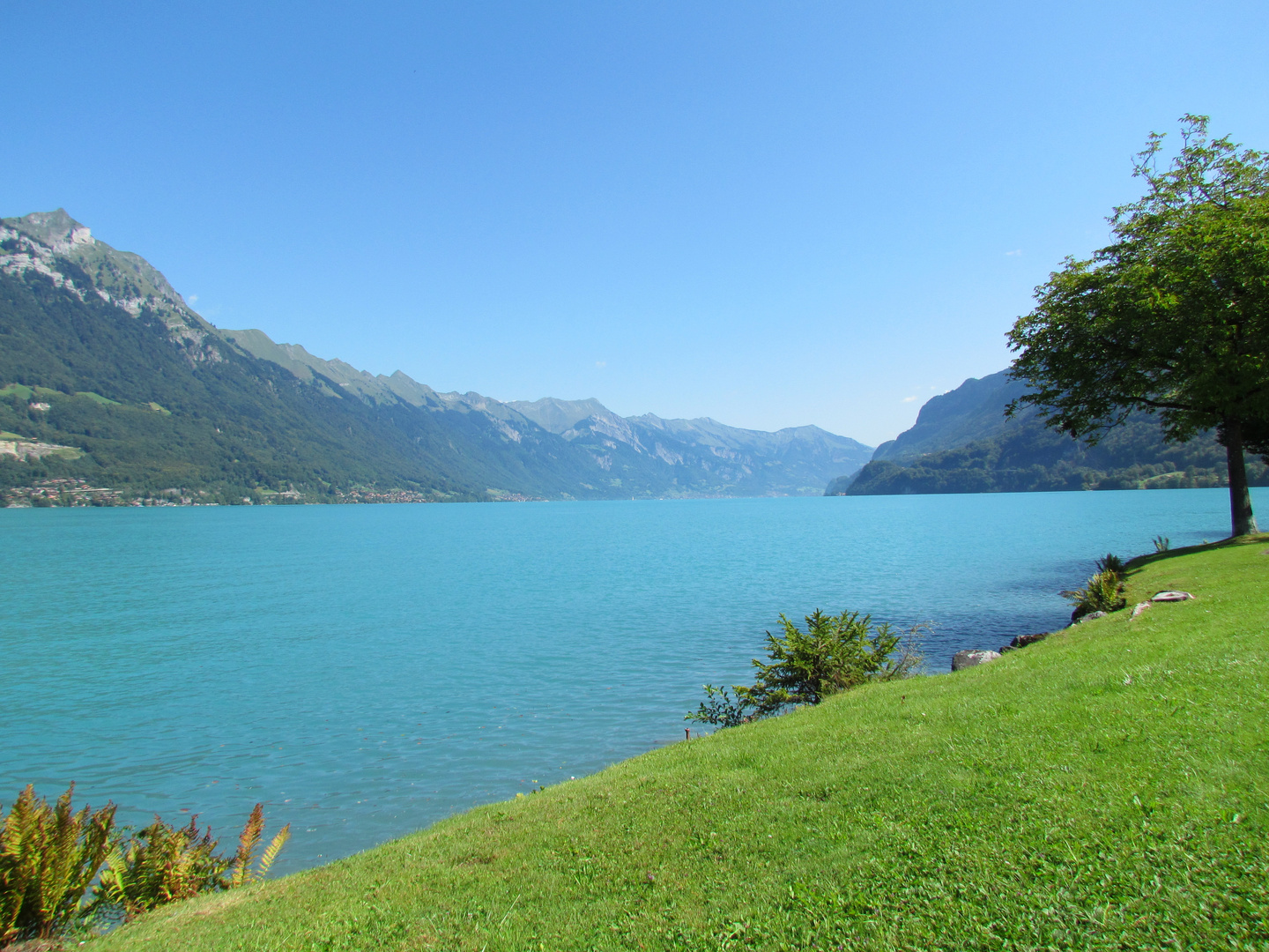 Brienzersee