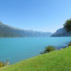 Brienzersee