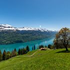 Brienzersee