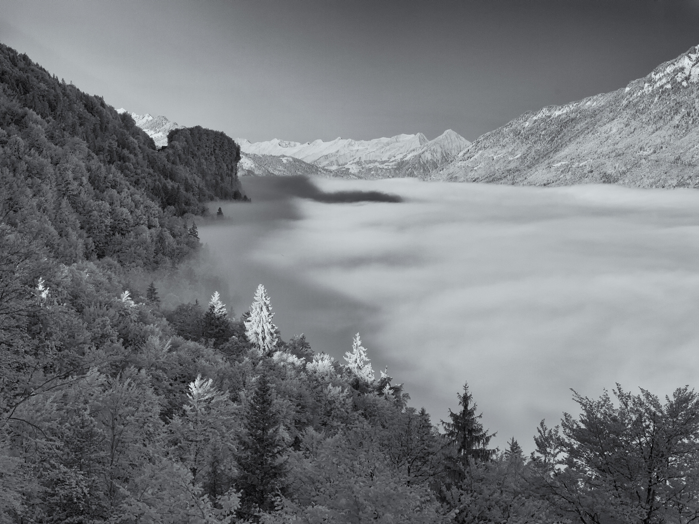 Brienzersee im Nebel