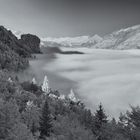 Brienzersee im Nebel