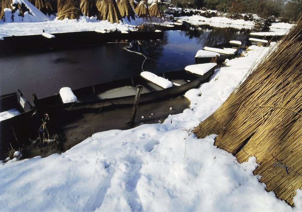 Brière sous la neige