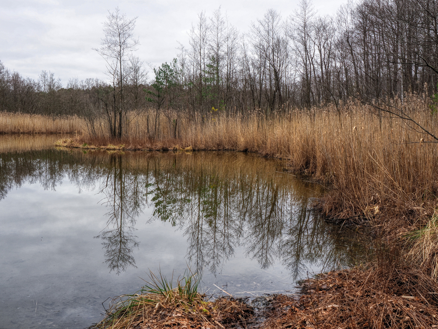 Briesensee