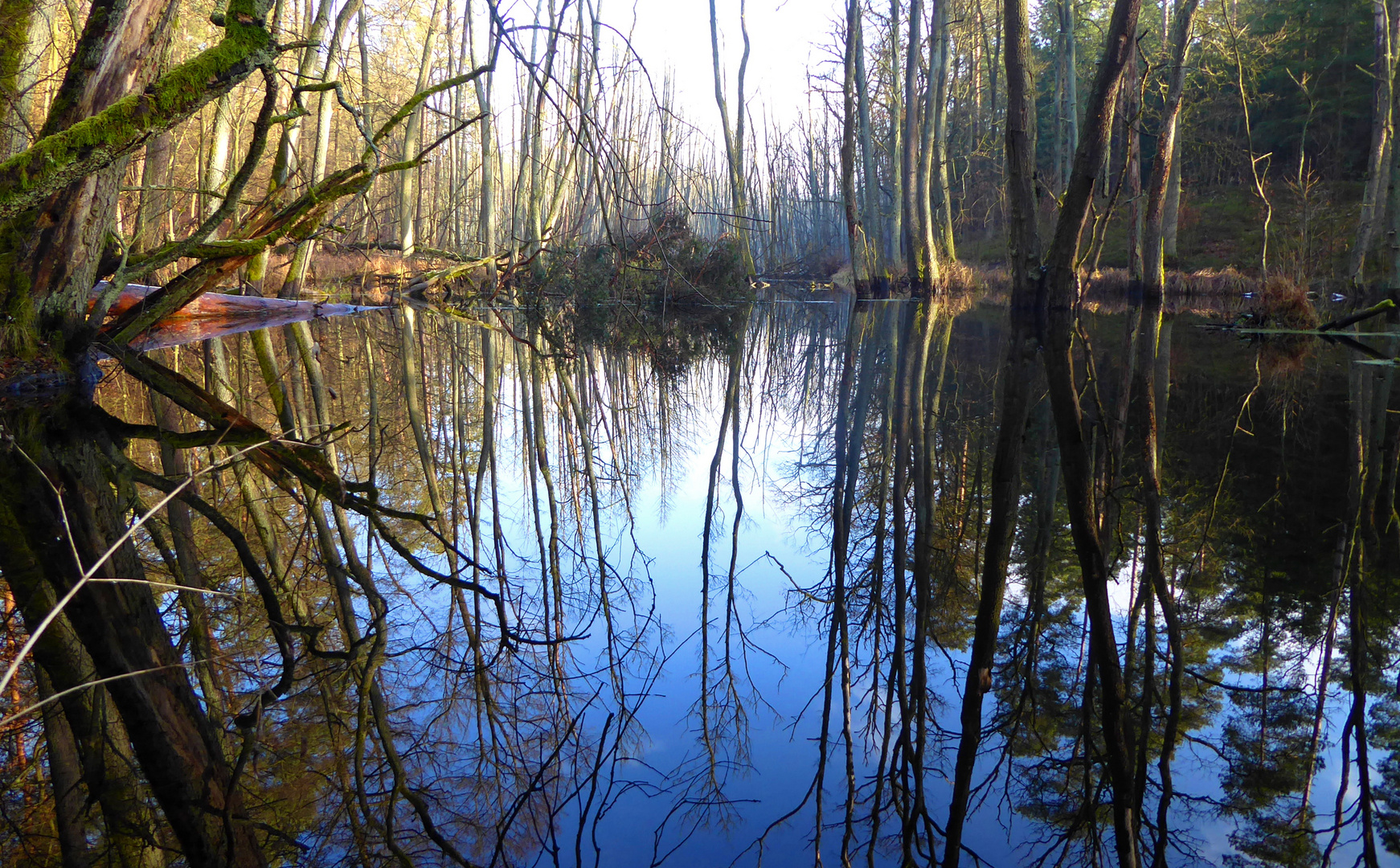 Briesetal im Winter