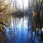 Briesetal im Winter