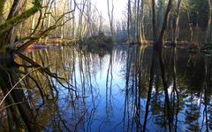 Briesetal im Winter