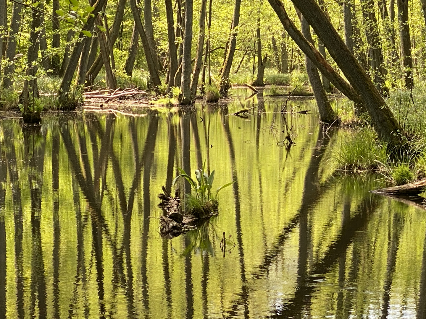 Briesetal in Brandenburg