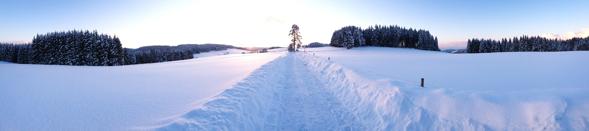 Brigach im Schwarzwald