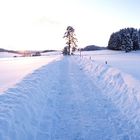 Brigach im Schwarzwald