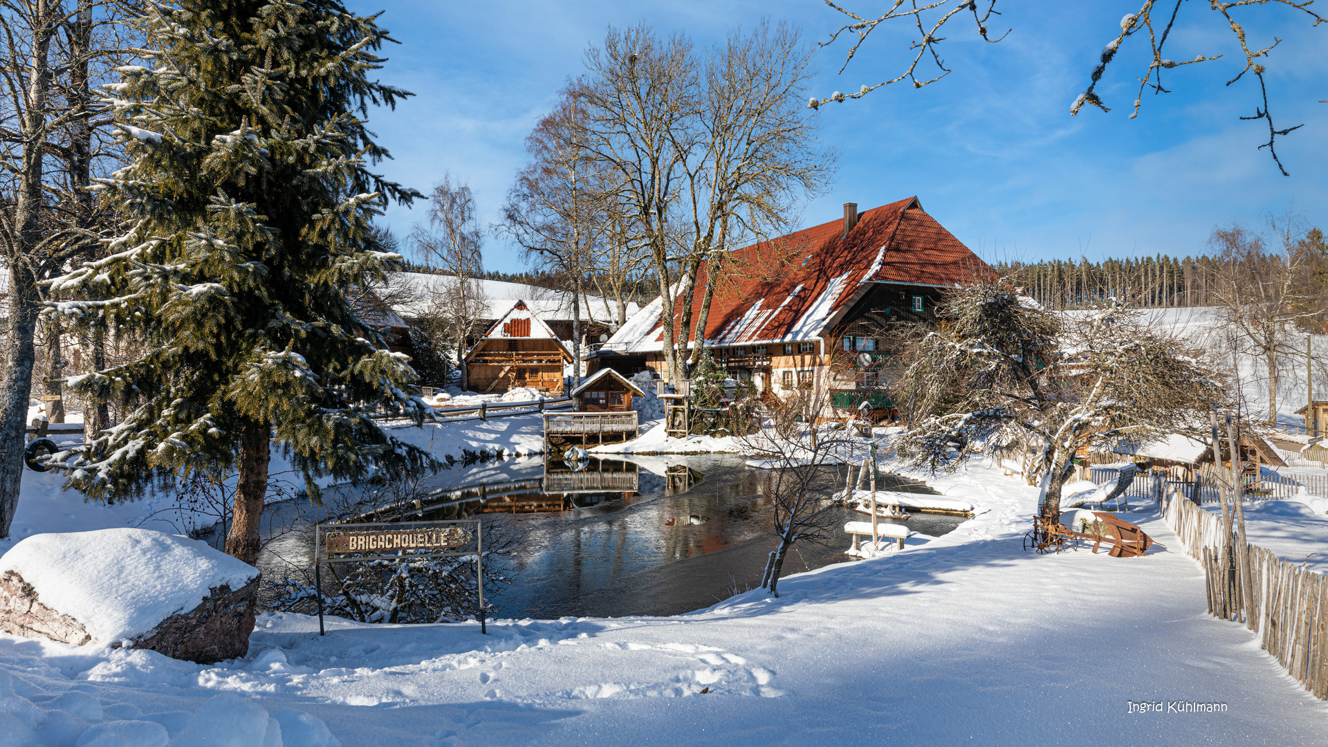 Brigachquelle Schwarzwald