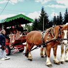 Brigadeausflug zum 1.Mai mit der Pferdekutsche