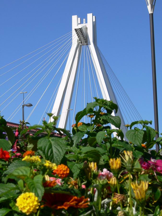 Brige in Ludwigshafen (Germany)