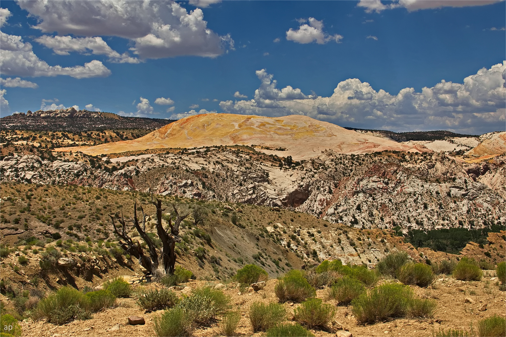 Brigham Plains Road View