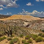 Brigham Plains Road View