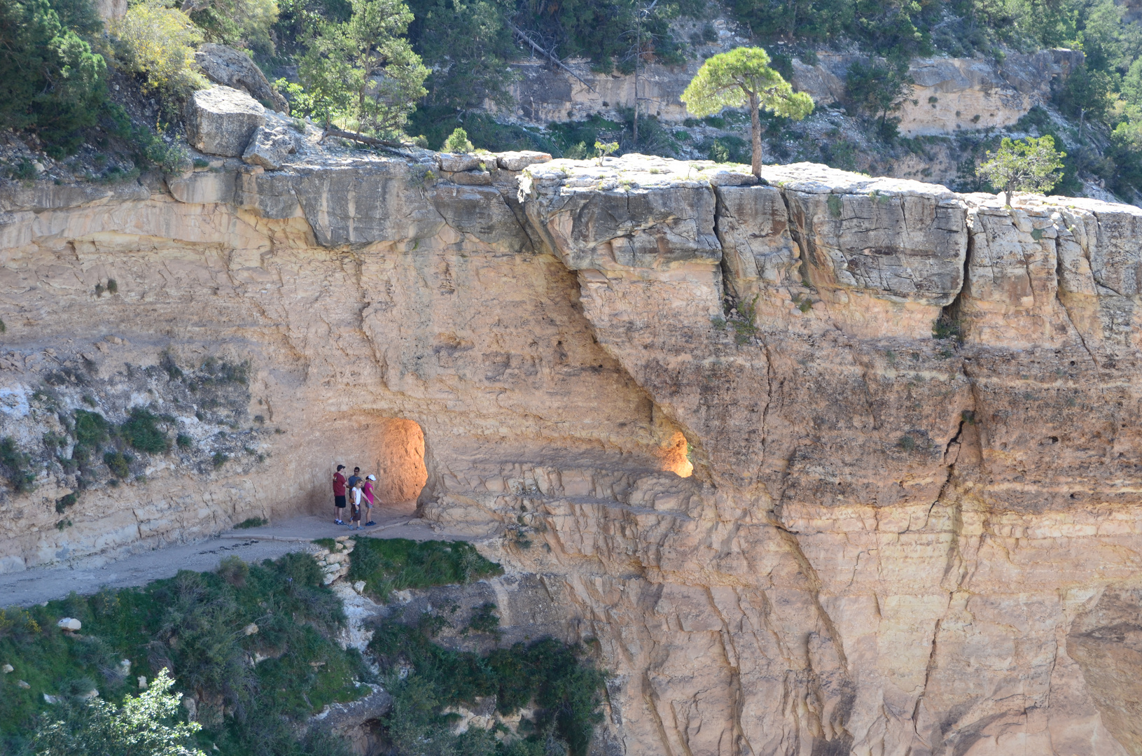 Bright Angel Trail Into the light