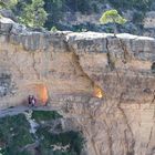 Bright Angel Trail Into the light