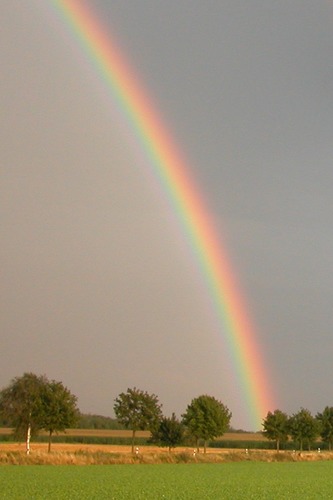 Bright colored rainbow